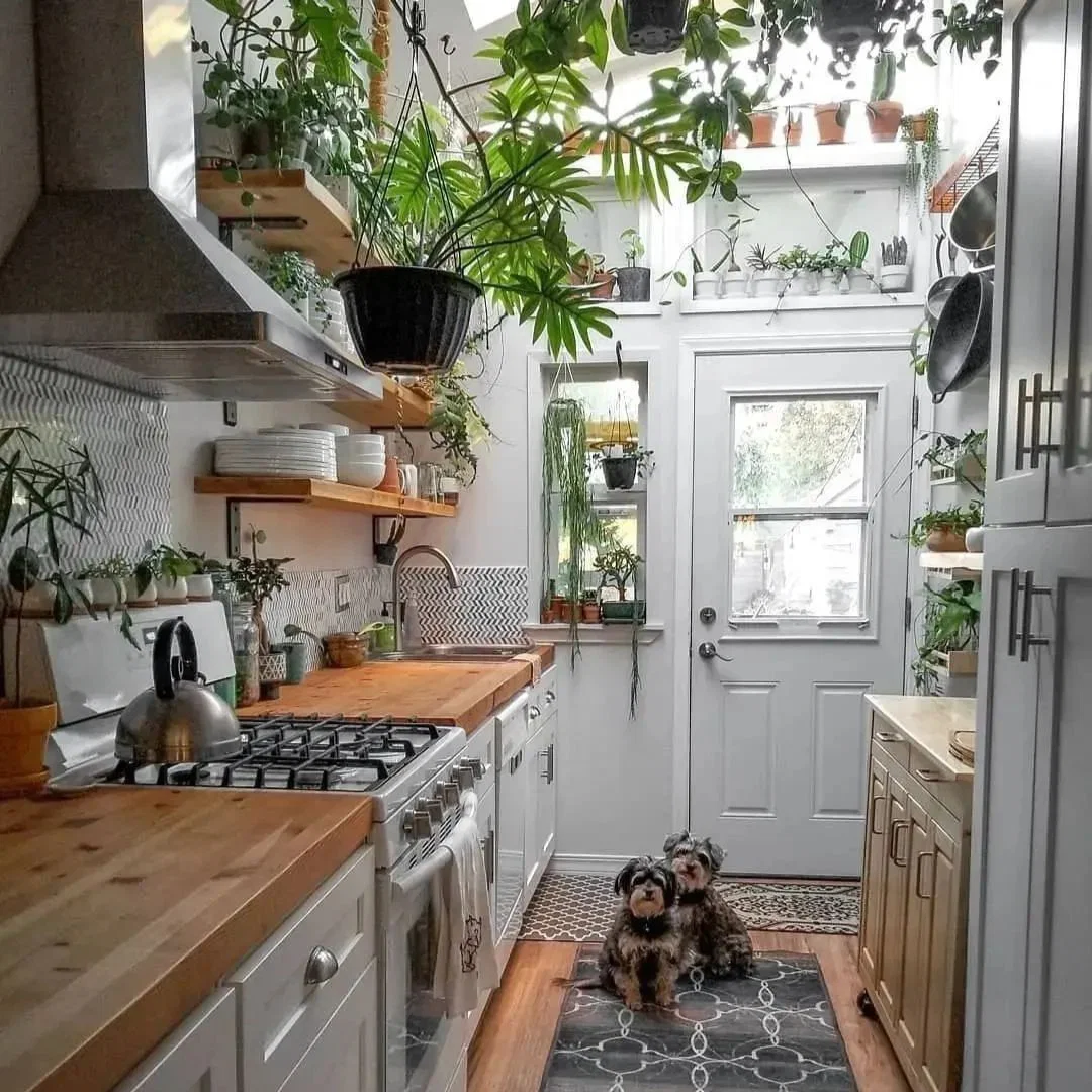 Faux or Real Greenery