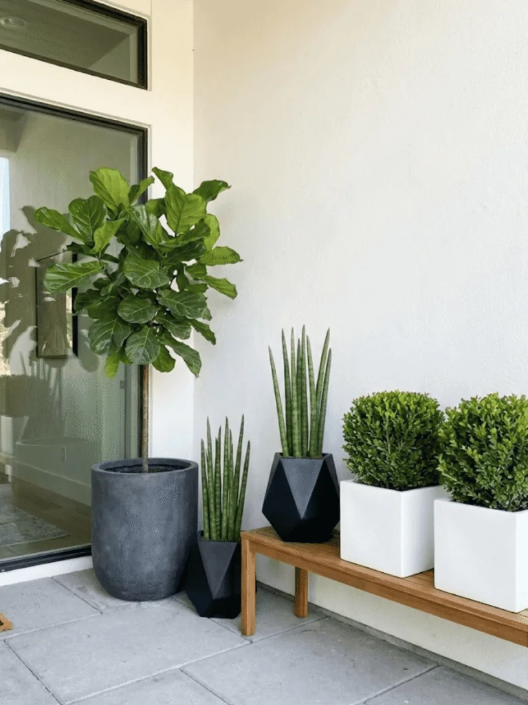 Structured Plants