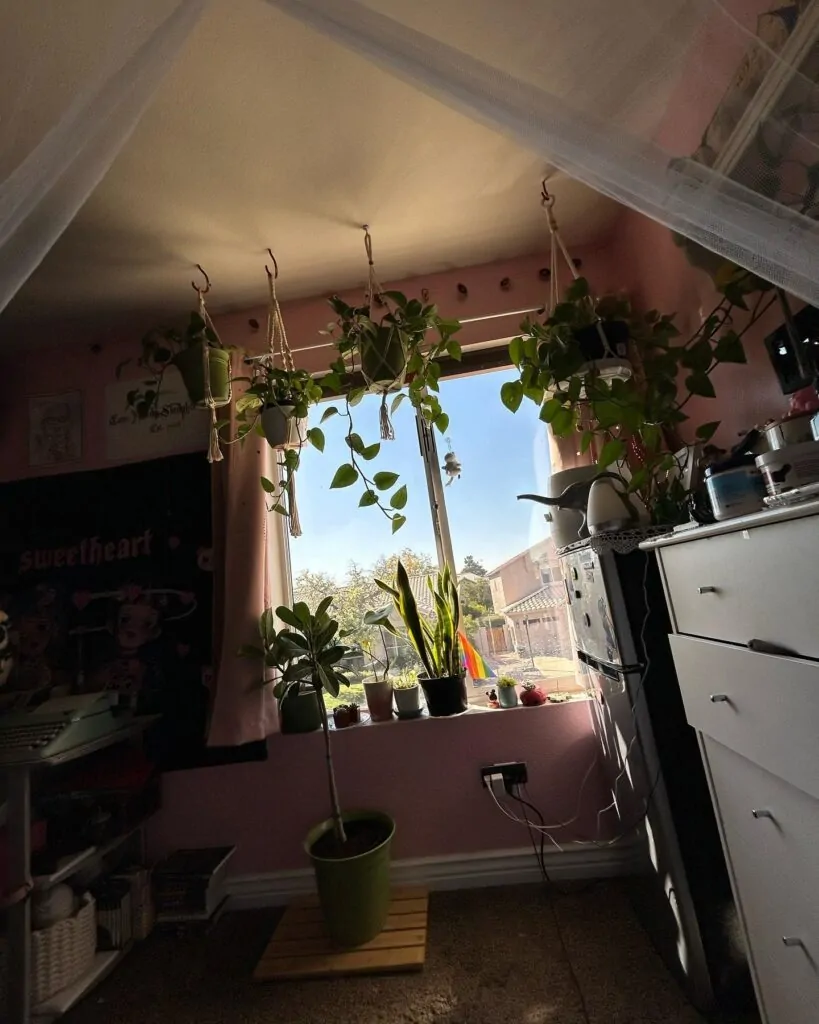  Plants Everywhere (Fake Counts Too)